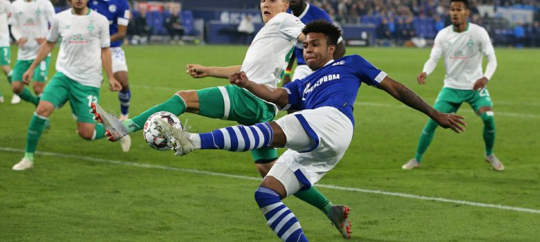 werder bremen-schalke-prognostika